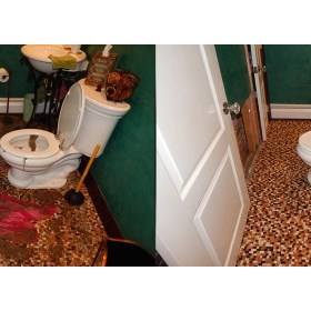 biowashing: How to Deal with Professional Water Damage Restoration Solution?